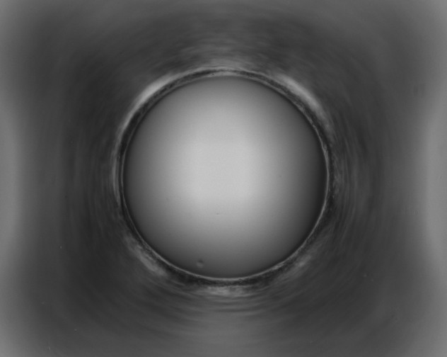 X0000086741272200705041400