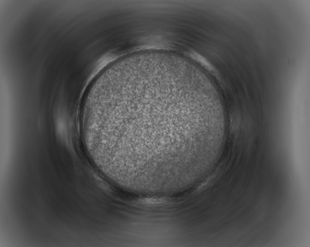 X0000086741274200705041400