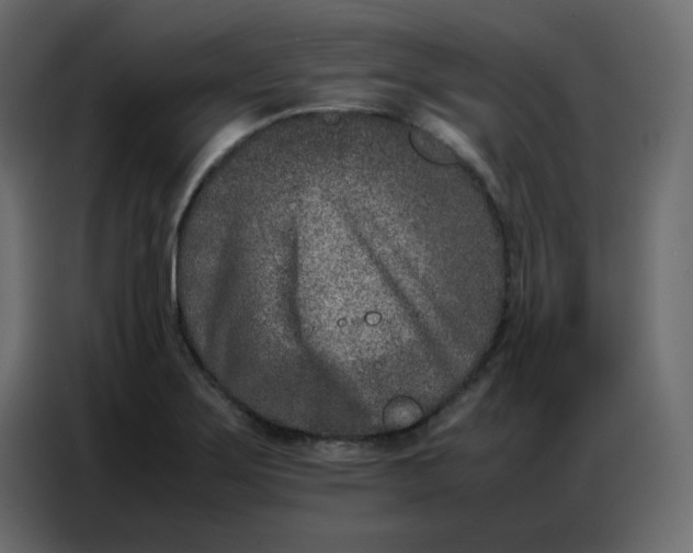 X0000086741275200705041400