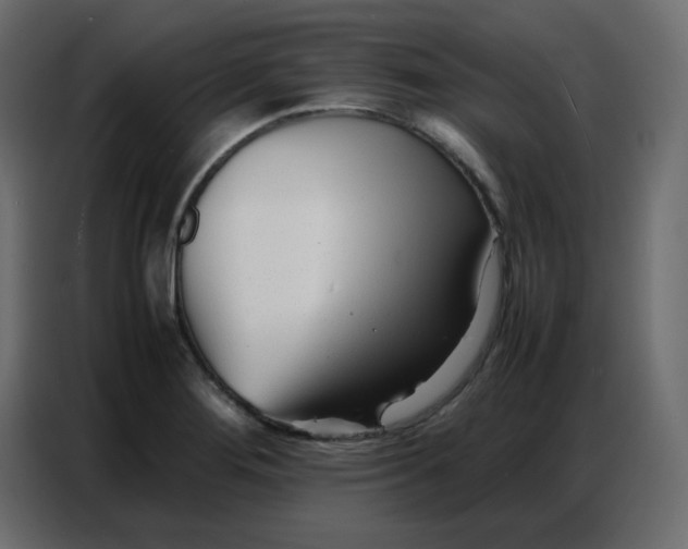 X0000086741276200705041400