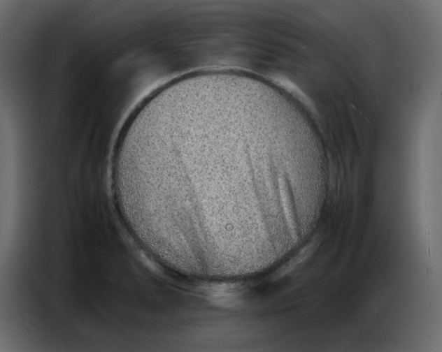 X0000086741278200705041400