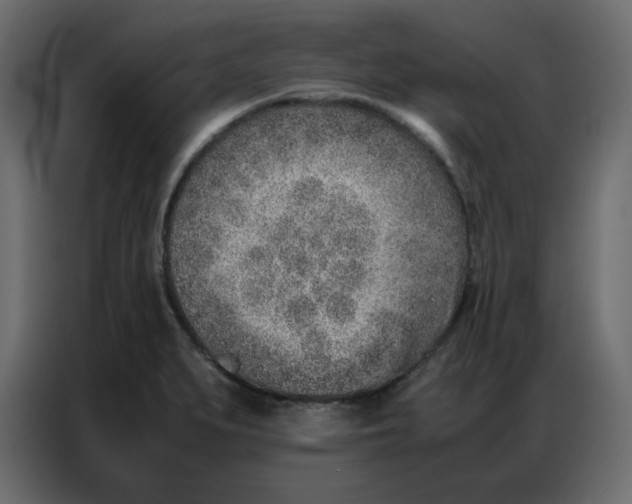 X0000086741279200705041400