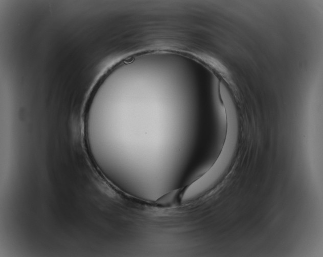 X0000086741280200705041400