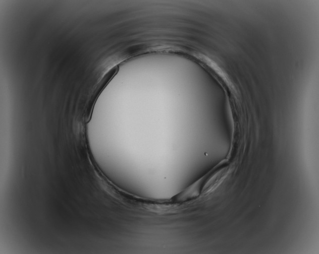 X0000086741281200705041400