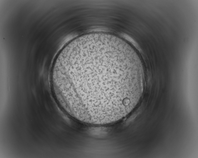 X0000086741282200705041400