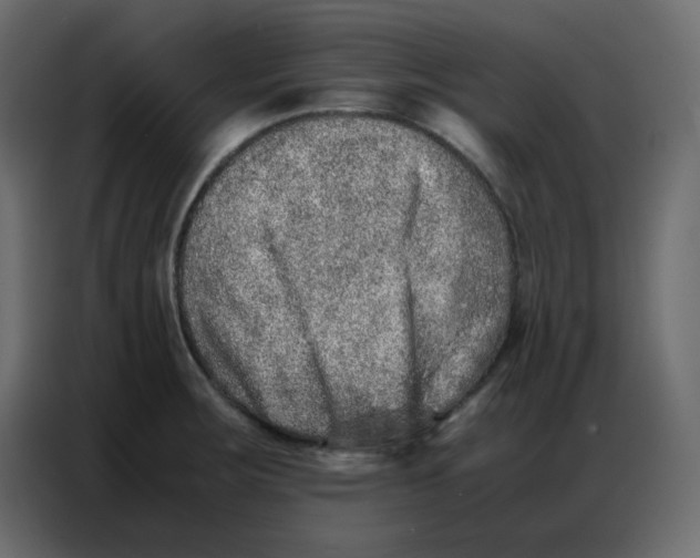 X0000086741283200705041400