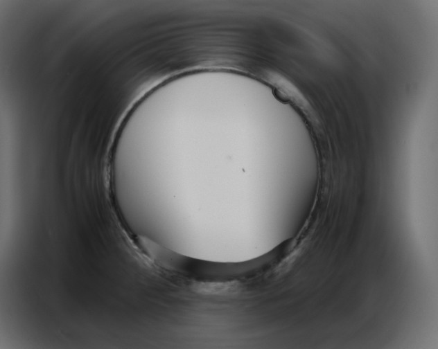 X0000086741284200705041400