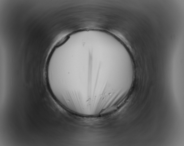 X0000086741285200705041400