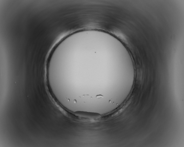 X0000086741286200705041400