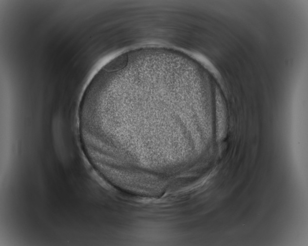 X0000086741287200705041400