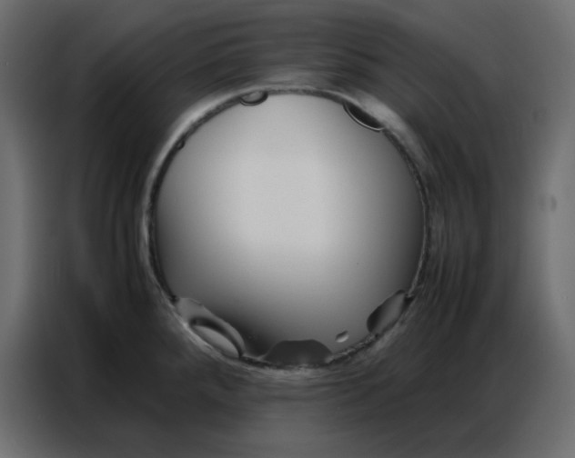 X0000086741288200705041400