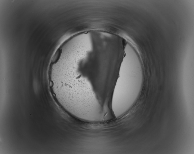 X0000086741291200705041400