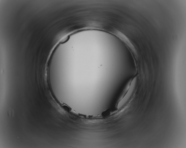 X0000086741292200705041400