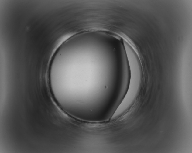 X0000086741293200705041400