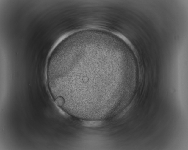 X0000086741294200705041400