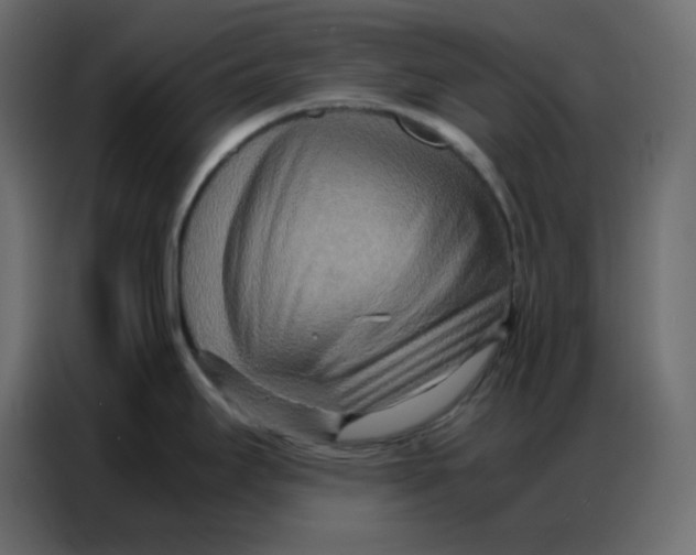 X0000086741295200705041400