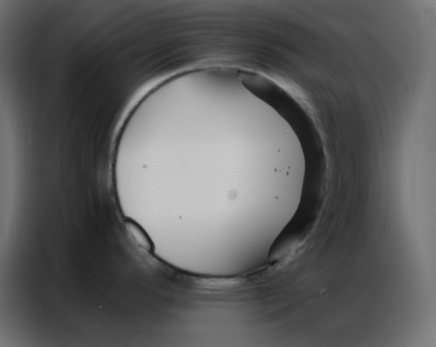 X0000086741296200705041400