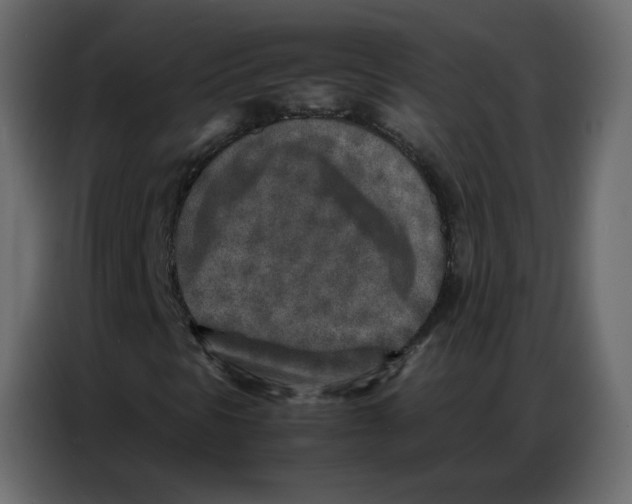 X0000086741297200705041359