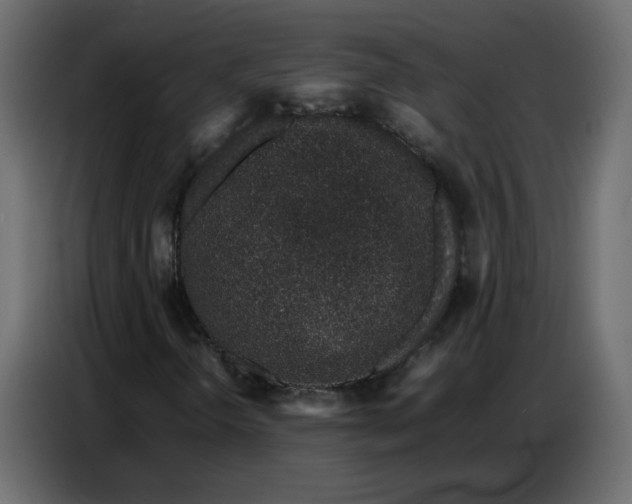 X0000086741298200705041359