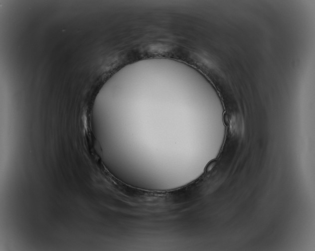 X0000086741299200705041359