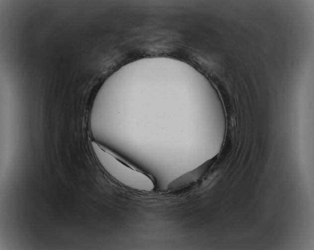 X0000086741300200705041359