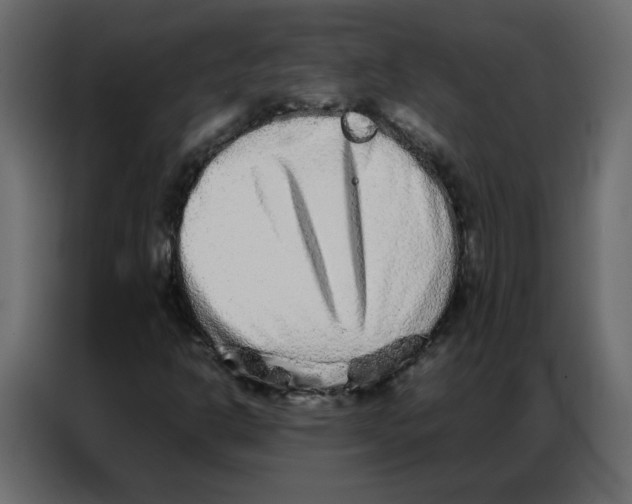 X0000086741302200705041359