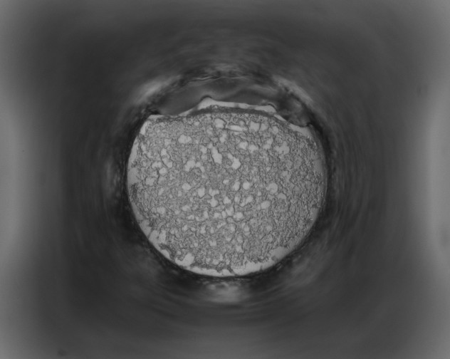 X0000086741303200705041359