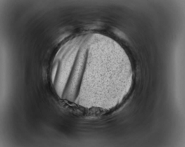 X0000086741305200705041359