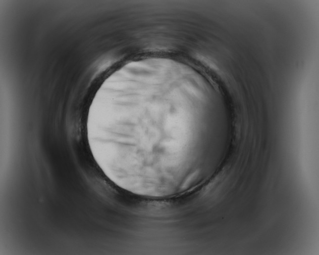 X0000086741306200705041359