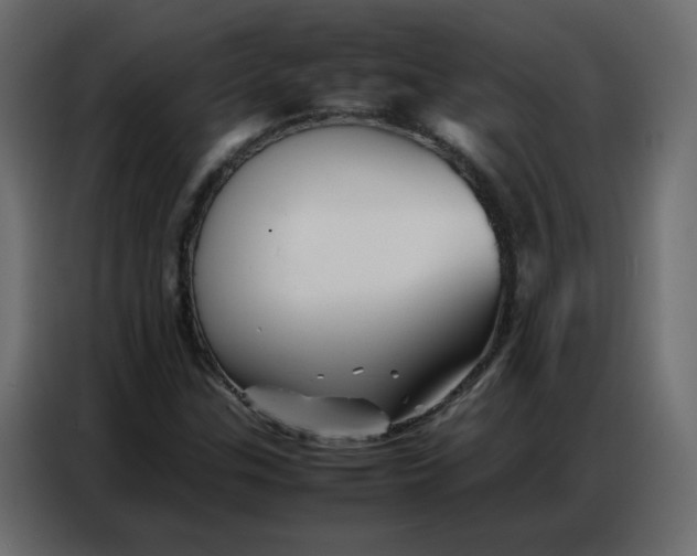 X0000086741307200705041359