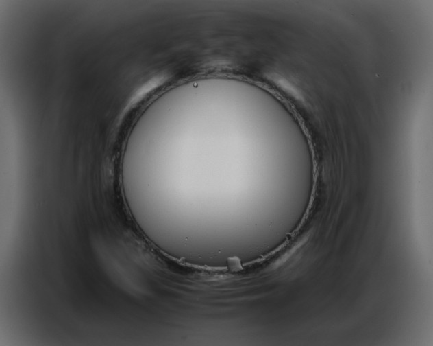 X0000086741309200705041359