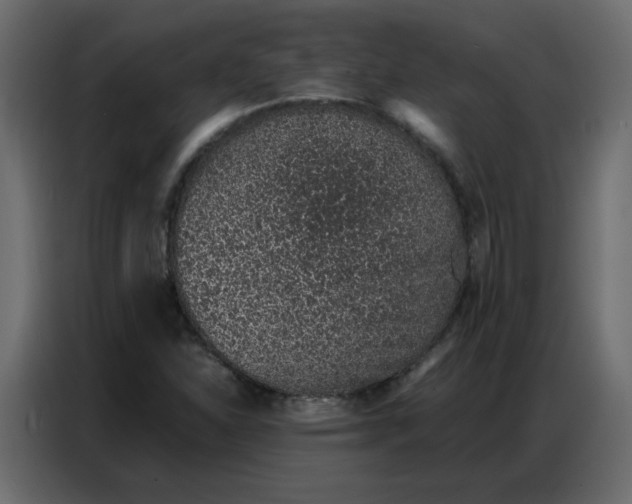 X0000086741310200705041359