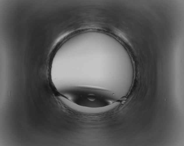 X0000086741312200705041359