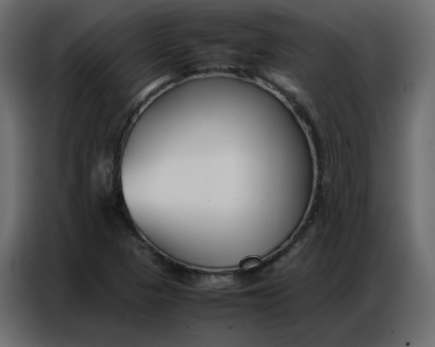 X0000086741313200705041359