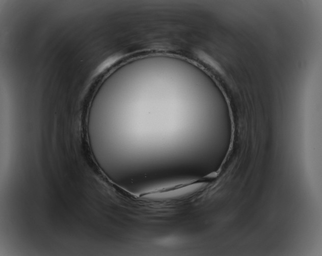 X0000086741315200705041359