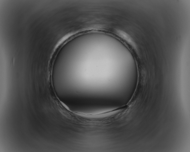 X0000086741316200705041359