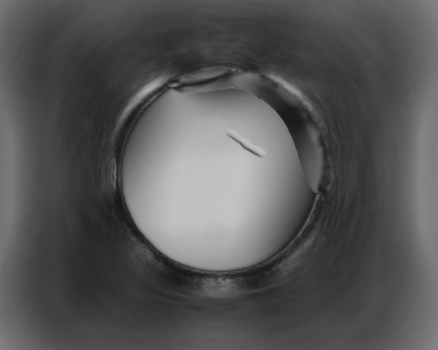 X0000086741317200705041400