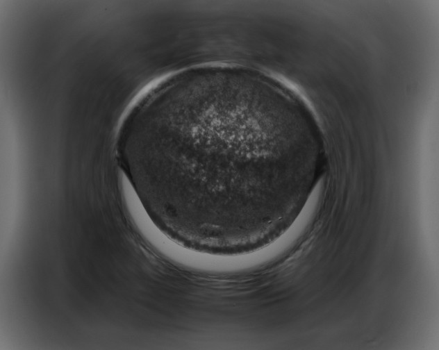 X0000086741319200705041400