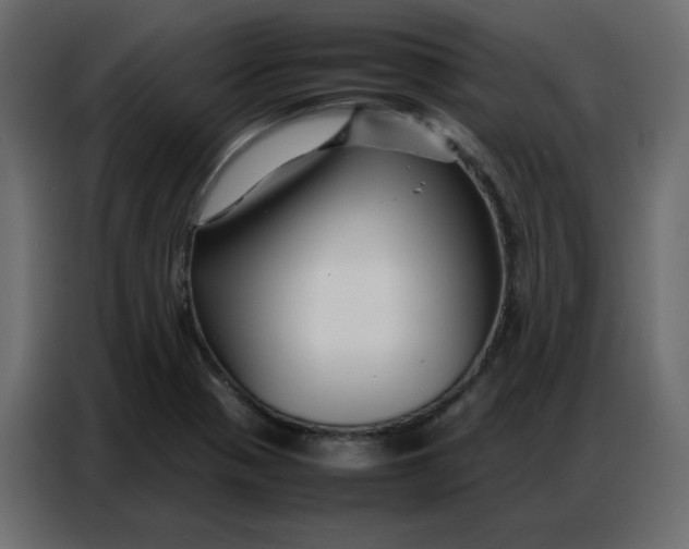 X0000086741321200705041400