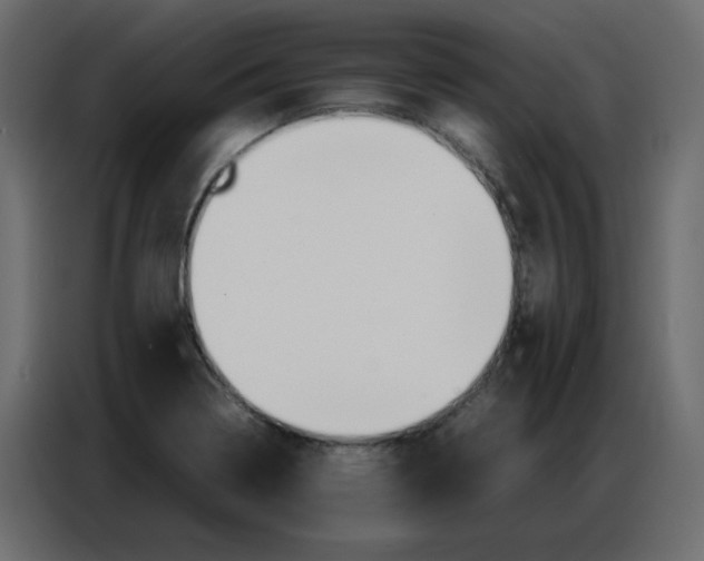 X0000086741322200705041400