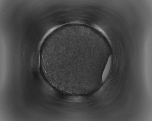 X0000086741323200705041400