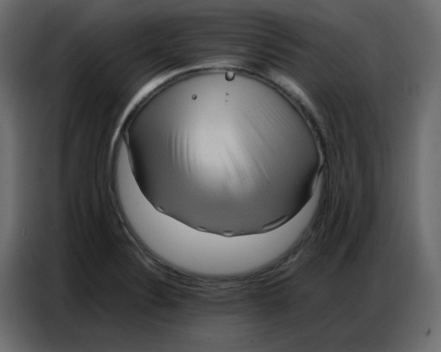 X0000086741324200705041400