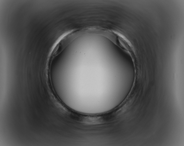 X0000086741325200705041400