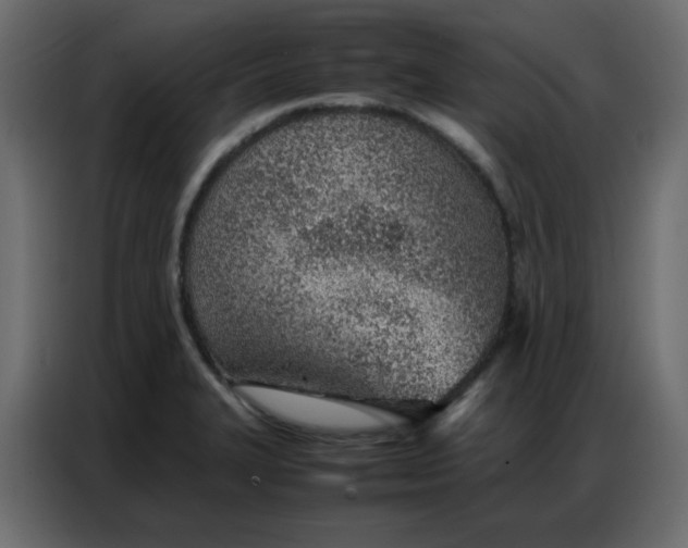 X0000086741327200705041400