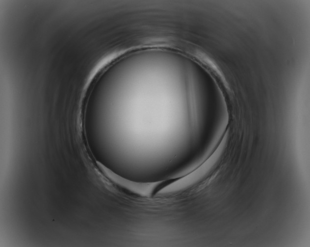 X0000086741328200705041400