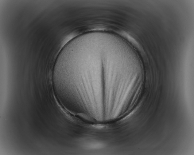 X0000086741329200705041400