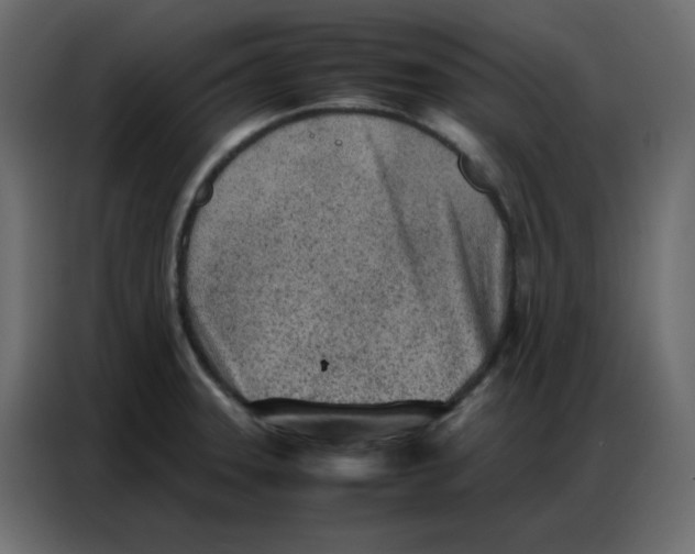 X0000086741331200705041400