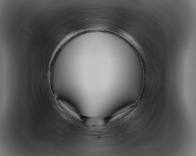 X0000086741332200705041400