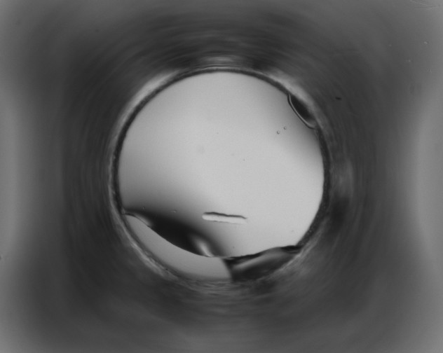 X0000086741333200705041400