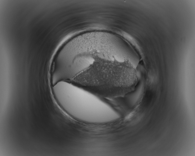 X0000086741334200705041400